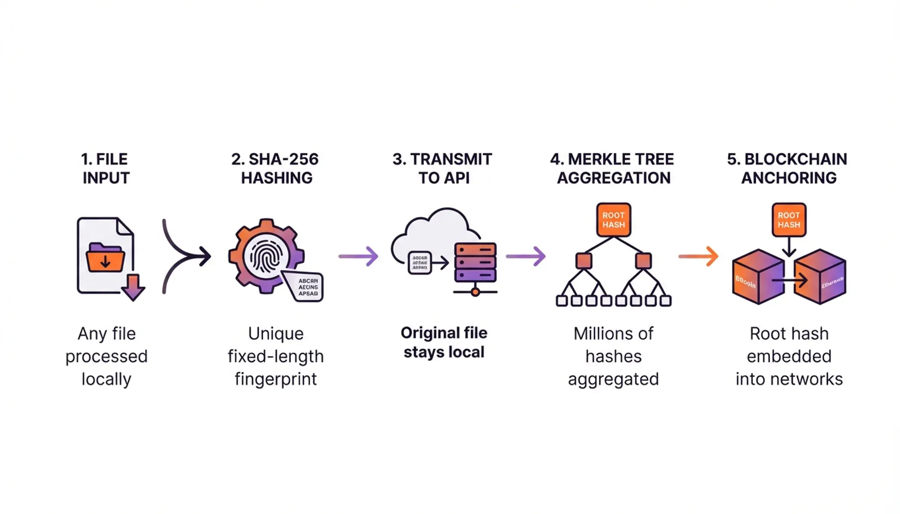 Infographic of blockchain timestamping adoption metrics highlighting tamper-evident proof and verification success rates