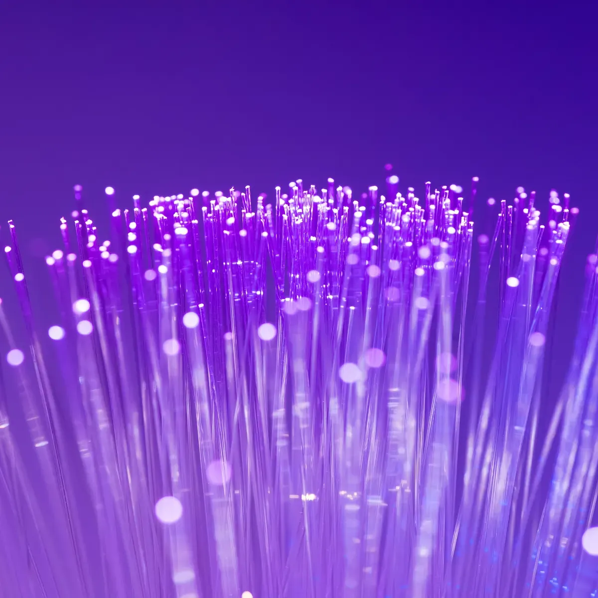 Glowing fiber-optic strands illuminated in purple light